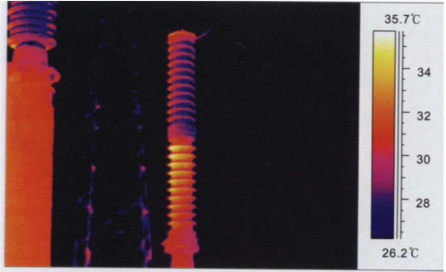 圖8.2 220 kV耦合電容器內(nèi)部缺陷 （上節(jié)tg&delta;為0.2%， 下節(jié)為0.64%）